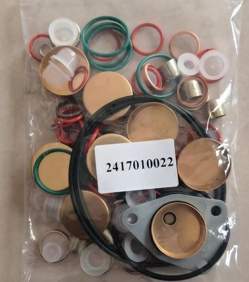 Kits de reparación de la bomba de combustible Z03V120001